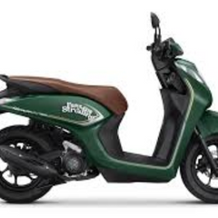 Collection image for: Motorcycle