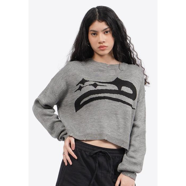 COLORBOX Long Sleeve Distressed Crop Sweater Grey