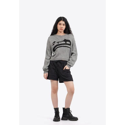 COLORBOX Long Sleeve Distressed Crop Sweater Grey