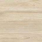 60x60 / Safari Rec Cream