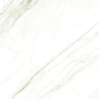 40x80 / Newton WB Green