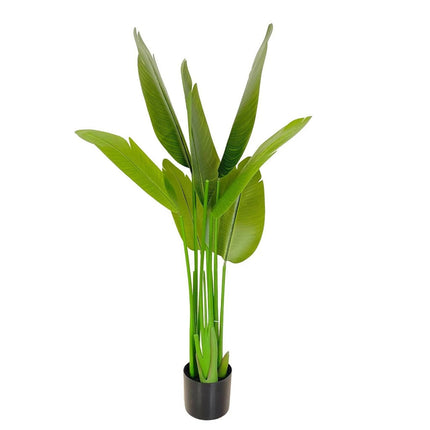 7F0A8FB5-22B5-49C4-8B41-5555F4E21AA7