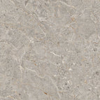 50x50 / Lincoln Rec Cream